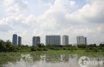 TP.HCM cho phép chuyển từ đất nông nghiệp sang đất ở đối với khu vực quy hoạch "treo"