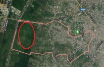 TP.HCM: Kiến nghị chuyển 384,2ha đất cây xanh tại Xuân Thới Thượng sang đất đô thị