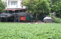 Hà Nội: Cần sớm đẩy nhanh tiến độ cải tạo hồ Rẻ Quạt